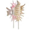 Shell / Conch Hair Claw