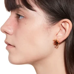 Tasty / Sun Conch Earring